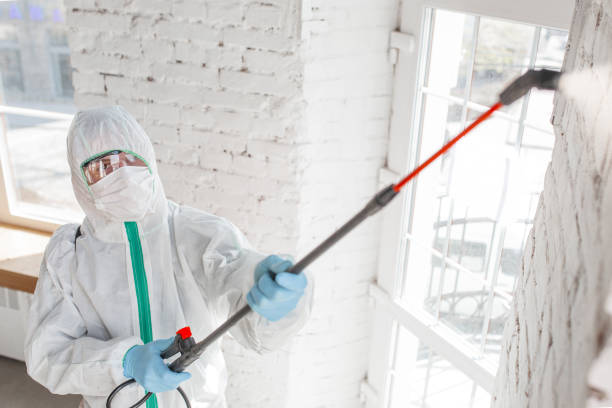 Best Forensic Mold Investigation  in Havelock, NC