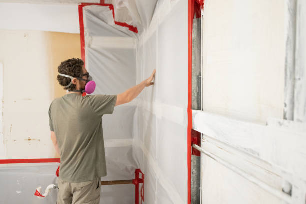  Havelock, NC Mold Removal Pros