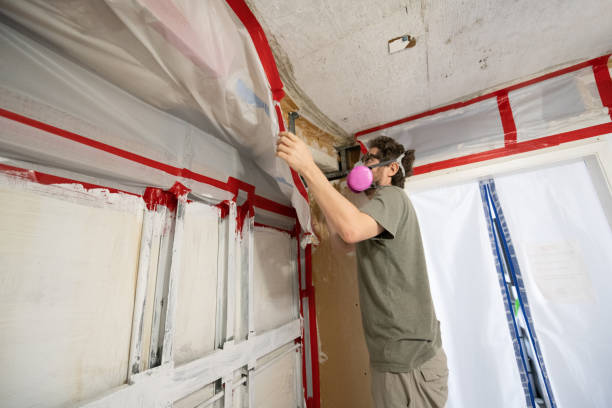 Best HVAC Mold Inspection and Cleaning  in Havelock, NC