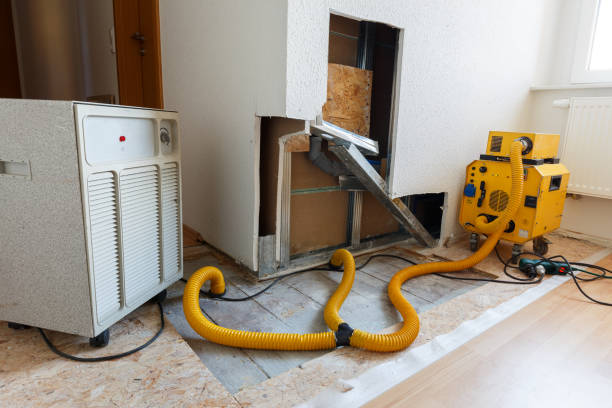 Best Comprehensive Air Testing for Mold Contaminants  in Havelock, NC