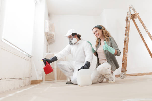 Trusted Havelock, NC Mold Removal Experts